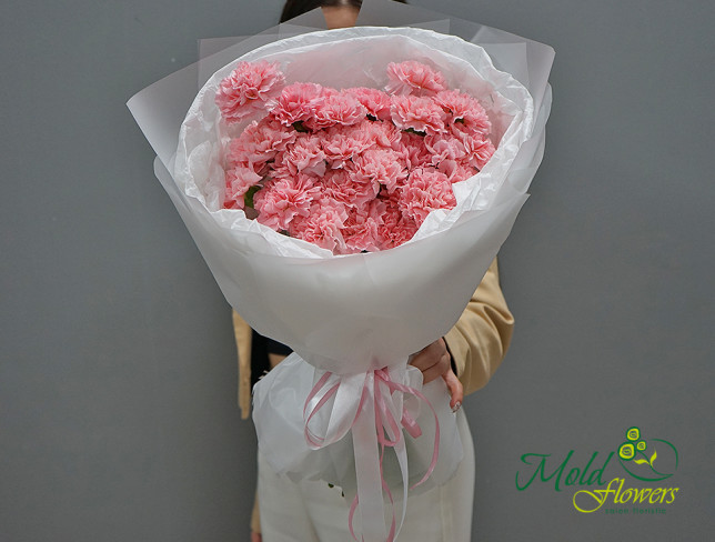 Букет из розовых гвоздик Фото